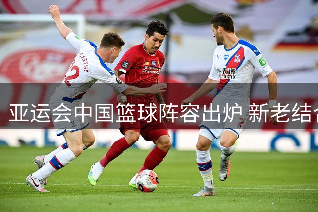 亚运会中国篮球阵容出炉 新老结合备战名古屋